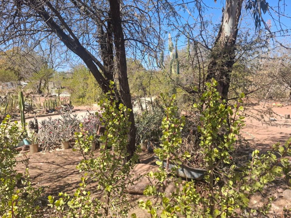 0801f0b4-3f2f-4fd3-b86f-e21775ef4d6e